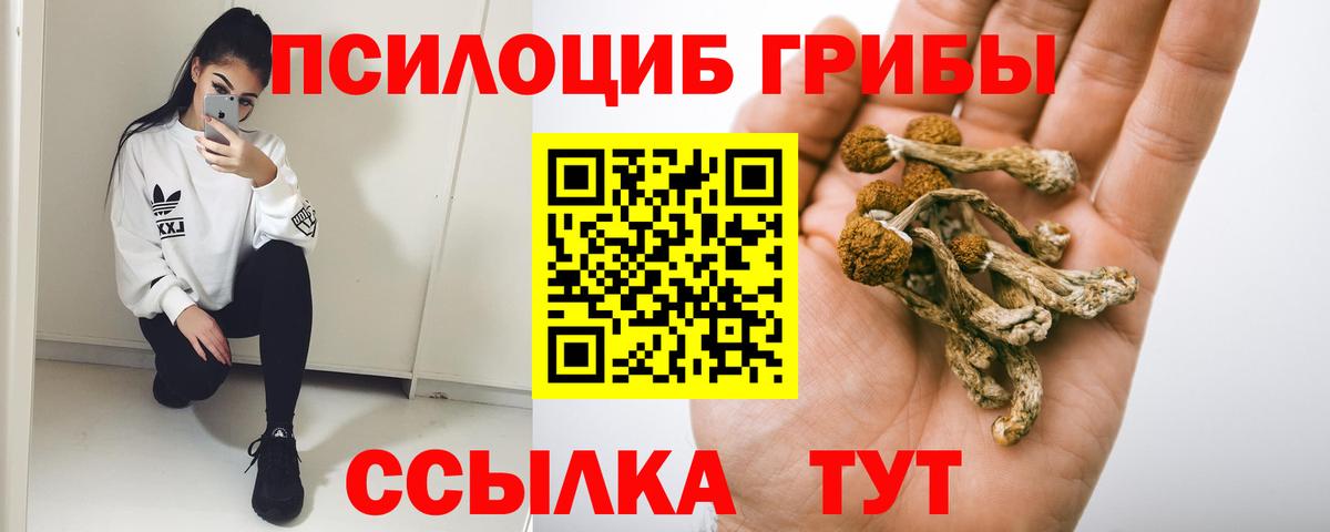 Галлюциногенные грибы Psilocybine cubensis  Вход с VPN  Галлюциногенные грибы мицелий  Советский 